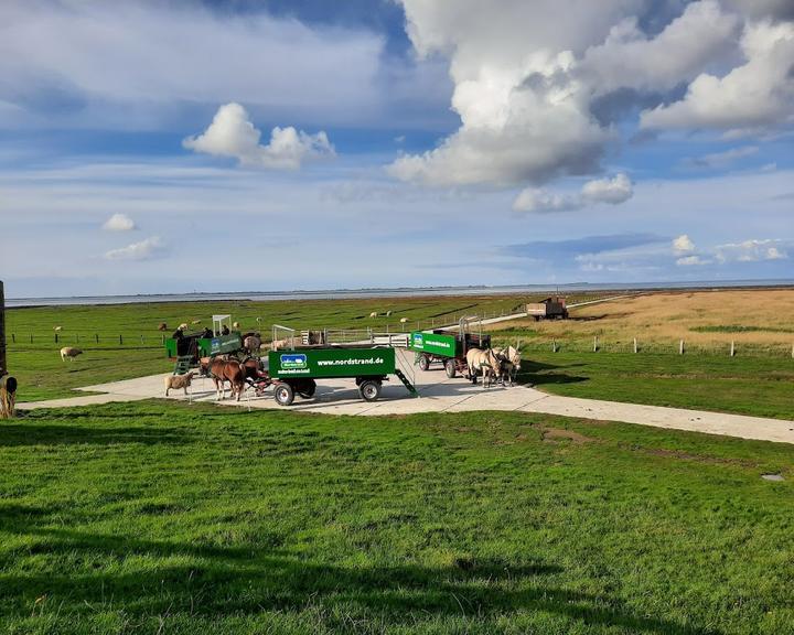 Hallig Südfall